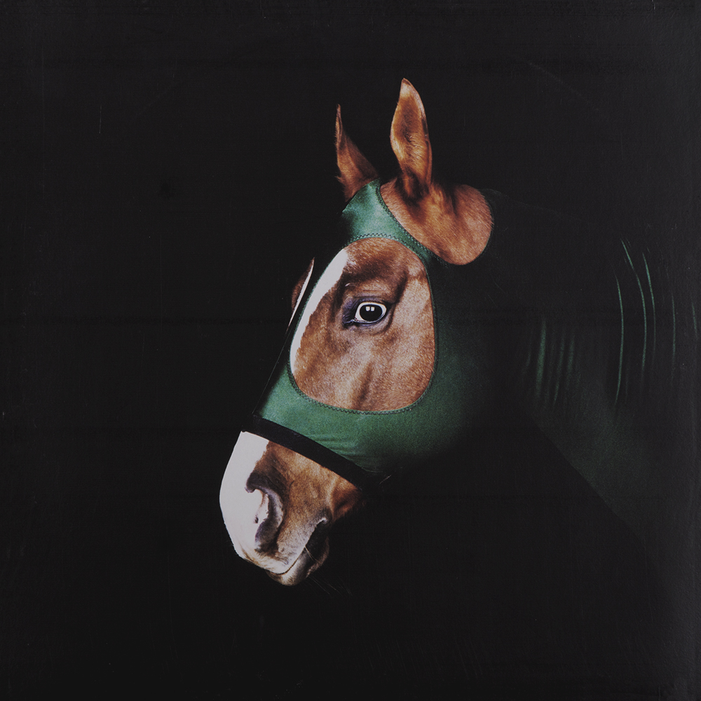 Beate Geissler & Oliver Sann