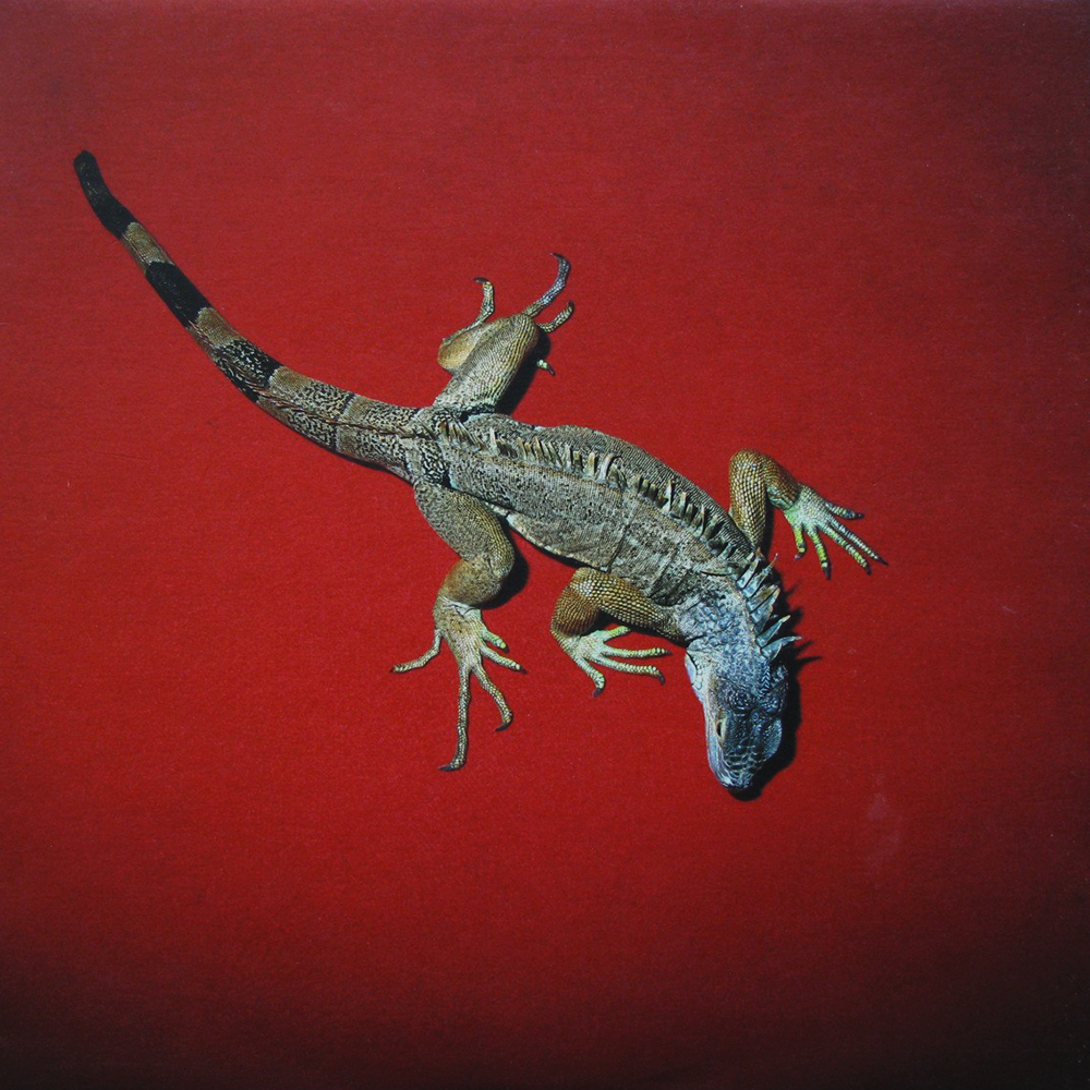 António Júlio Duarte